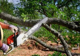  Reidville, SC Tree Removal and Landscaping Services Pros